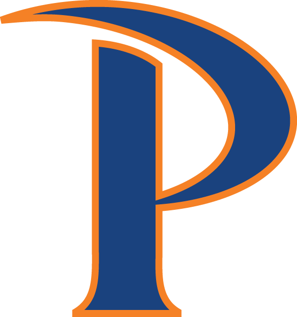 Pepperdine Waves iron ons